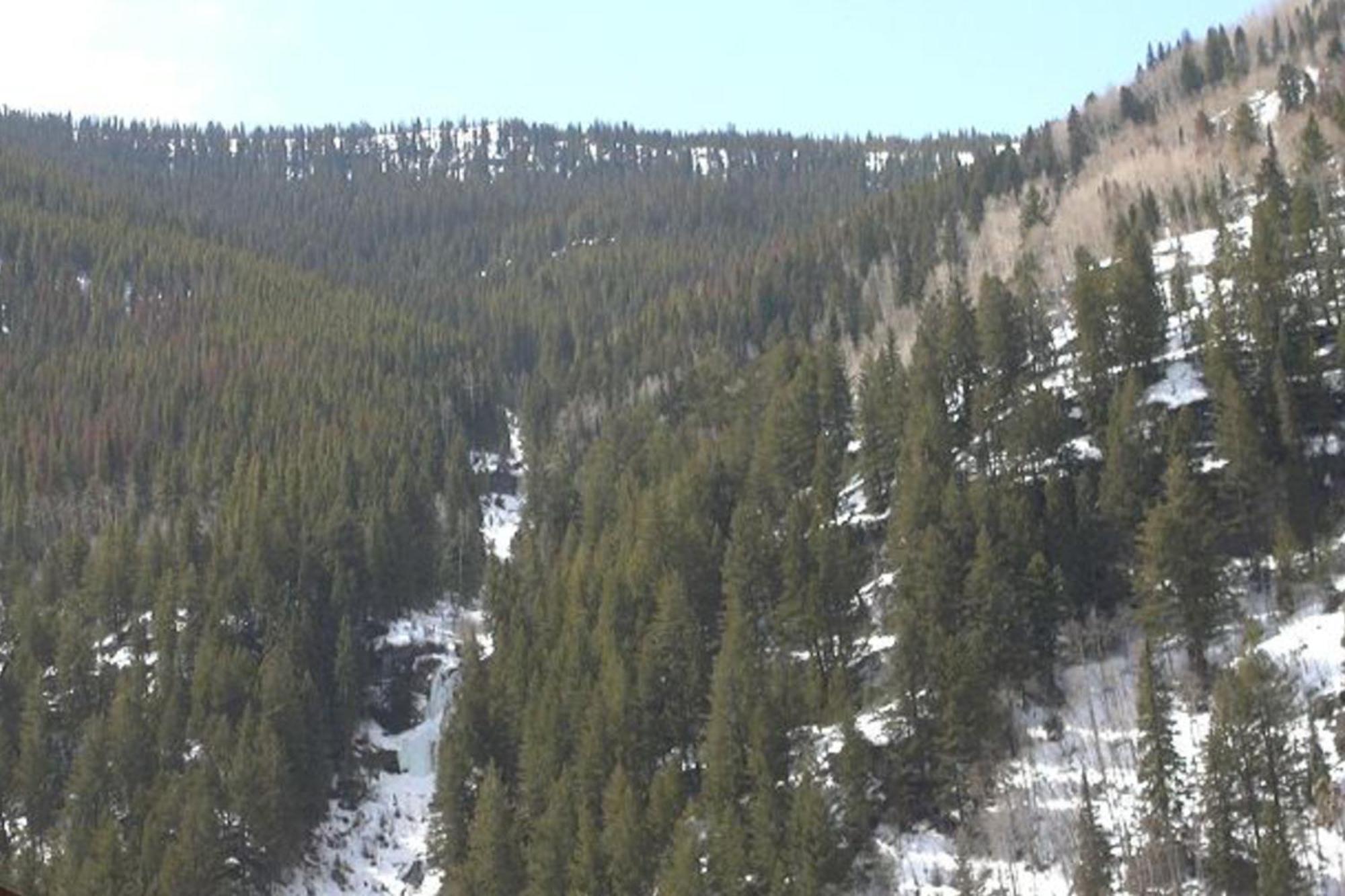 Pitkin Creek Park 7 Villa Vail Ruang foto